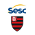 Escudo brasão da equipe SESC Flamengo